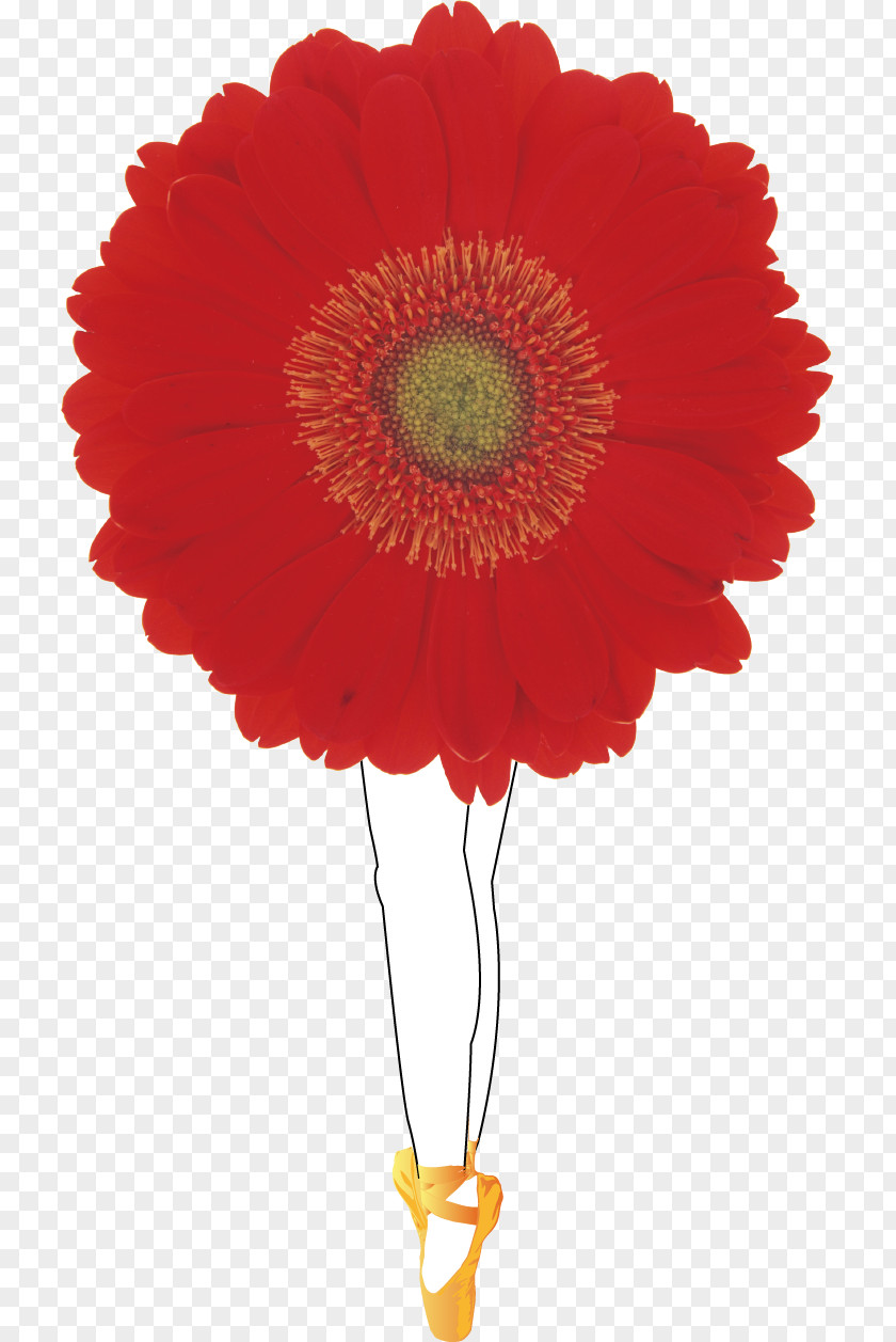 Vector Painted Ballet Red Flower Bouquet Photography PNG