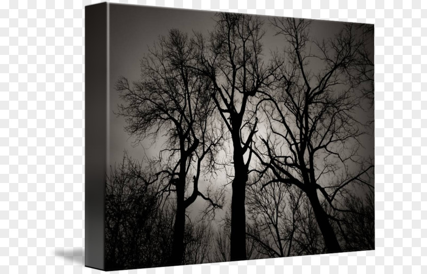 Wood Still Life Photography Desktop Wallpaper Picture Frames Stock PNG