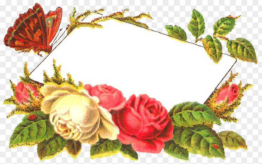 Antique Floral Design Label Digital Scrapbooking Butterfly PNG