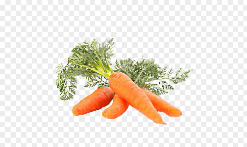 Carrot Juice Eating Vegetable PNG