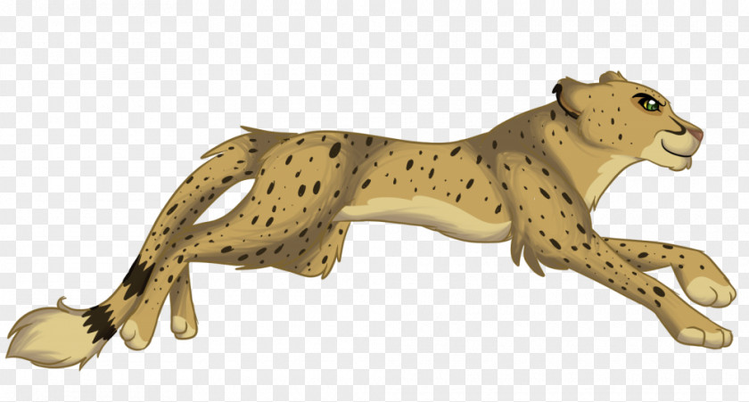 Cheetah Big Cat Terrestrial Animal Puma PNG