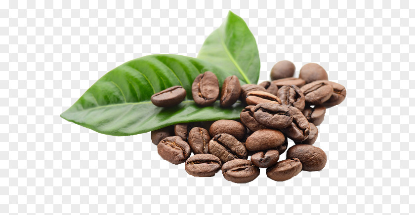 Coffee Beans Espresso Tea Latte Cafe PNG