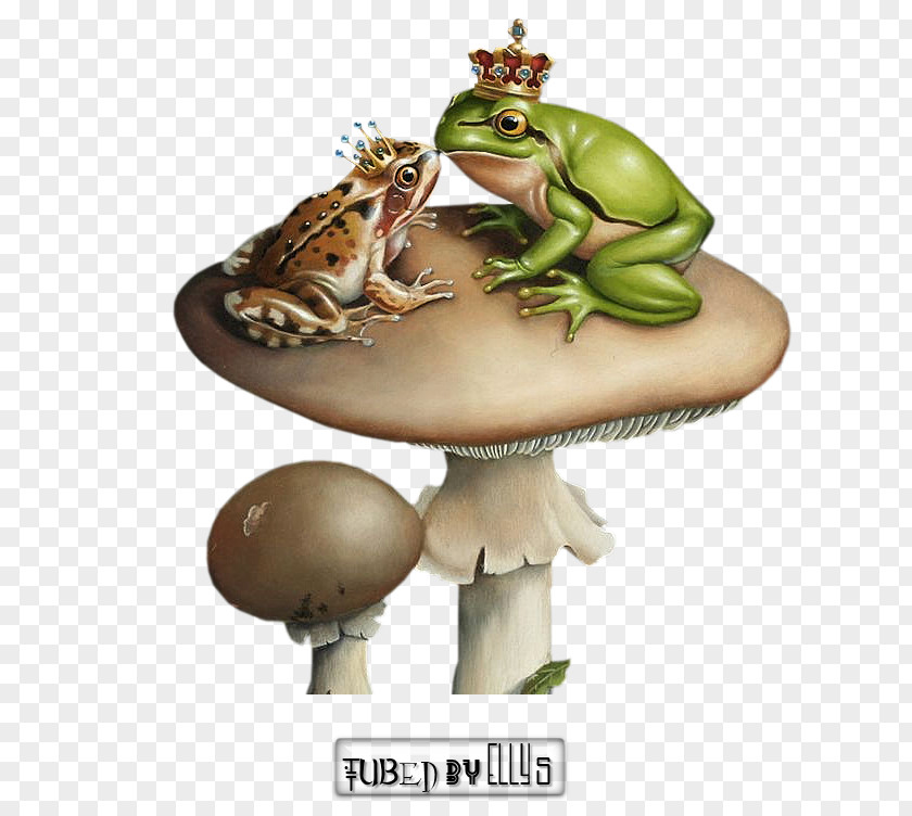 Frog True Life Cycle Toad Tree PNG