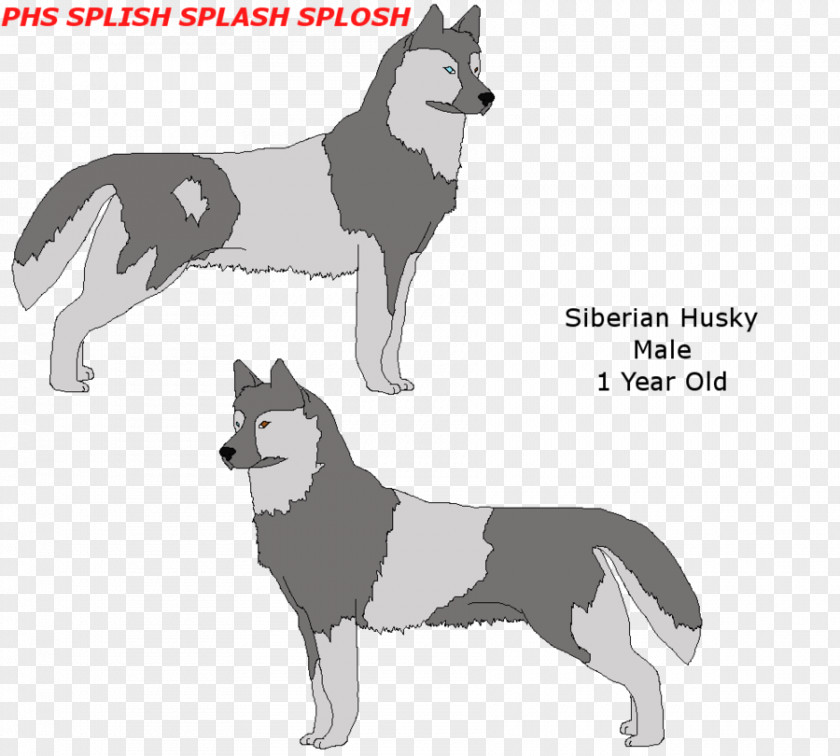 Husky Siberian Dog Breed Sakhalin Alaskan Malamute PNG