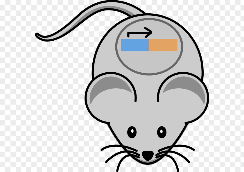 Mouse Computer Mickey Clip Art PNG