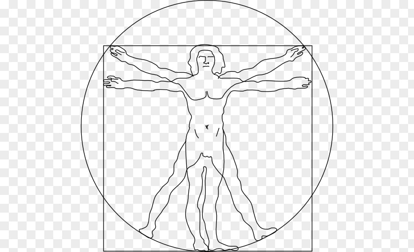 Painting Vitruvian Man De Architectura Homo Sapiens Line Art Drawing PNG