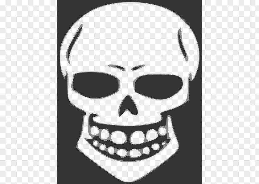 Skeleton Skull Cliparts Blu-ray Disc Die Toten Hosen Album Schlampe Song PNG