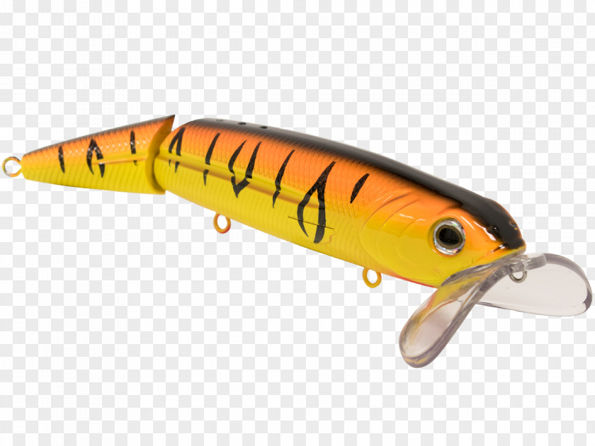 Spoon Lure Perch Fish AC Power Plugs And Sockets PNG