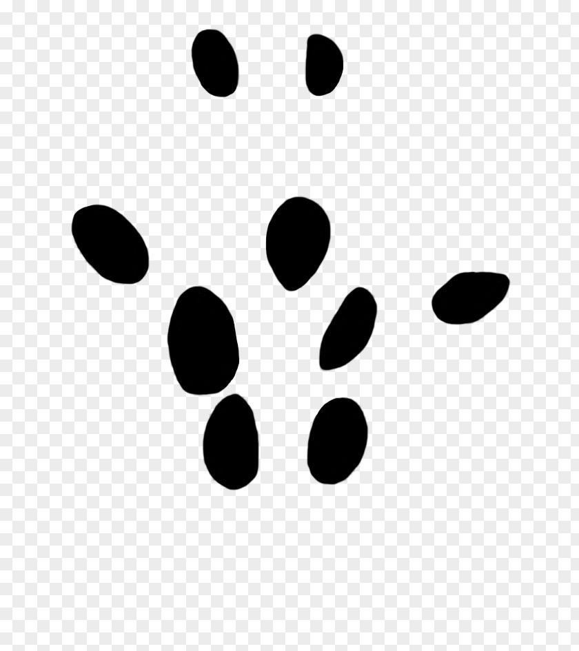 Tiger Paw Dog Moles Clip Art PNG