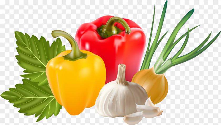Vegetable Garlic Capsicum Annuum PNG
