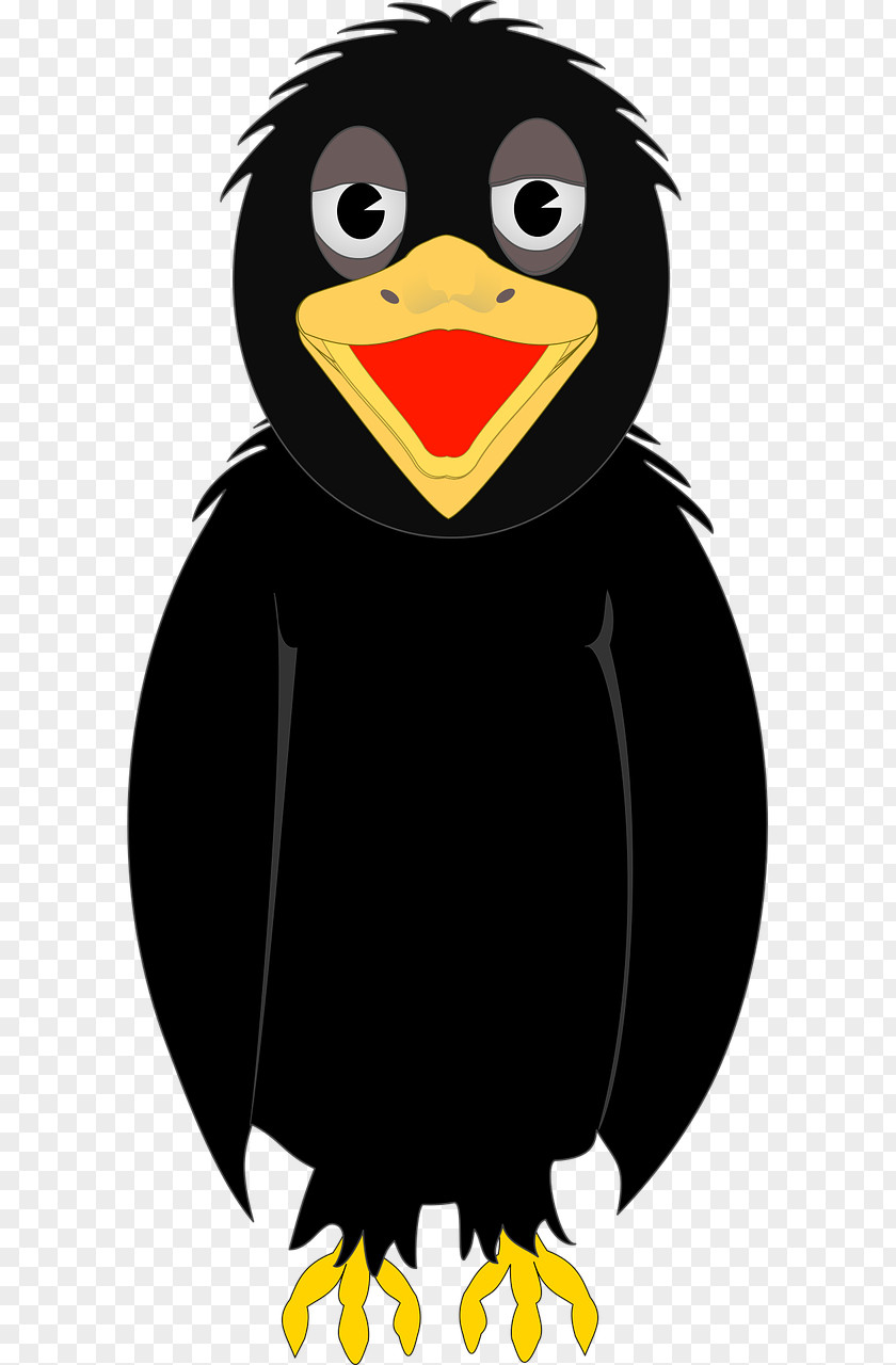 Black Crow Common Raven Bird Free Content Clip Art PNG