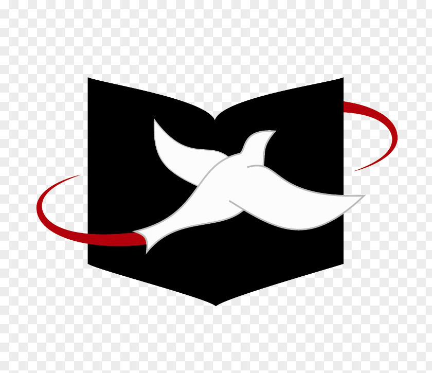 Congregation Of The Mission December Logo 0 Brand Font PNG