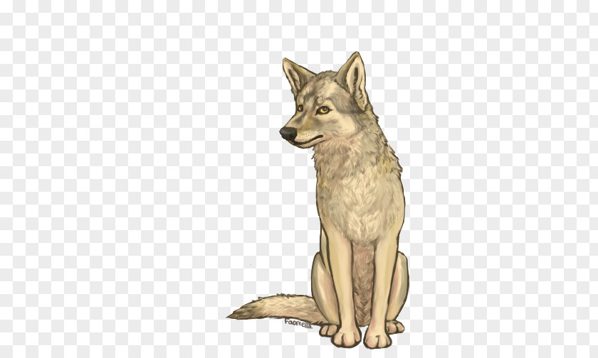 Czechoslovakian Wolfdog Saarloos Kunming Coyote Red Fox PNG