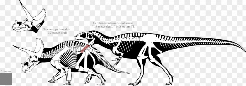 Dinosaur Tyrannosaurus Carcharodontosaurus Triceratops Giganotosaurus Torosaurus PNG