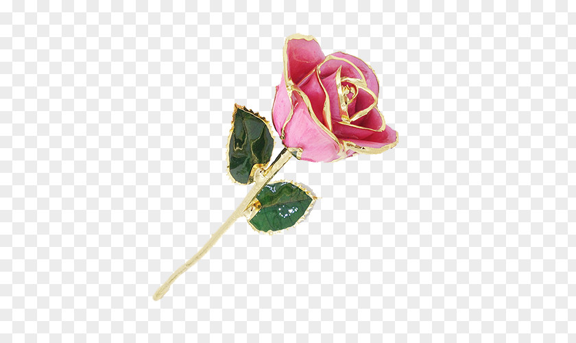 Gold Garden Roses Cabbage Rose Plating Cut Flowers PNG