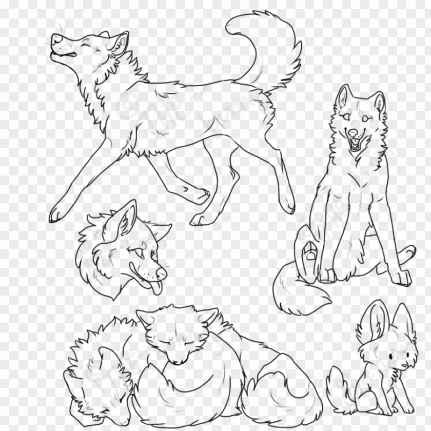 Rabitt And Wolf Whiskers Cat Dog Breed Paw PNG