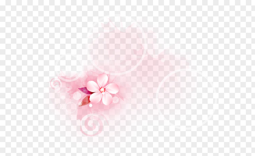 Simple Hand-painted Flowers Circle Petal Desktop Wallpaper Cherry Blossom Close-up PNG