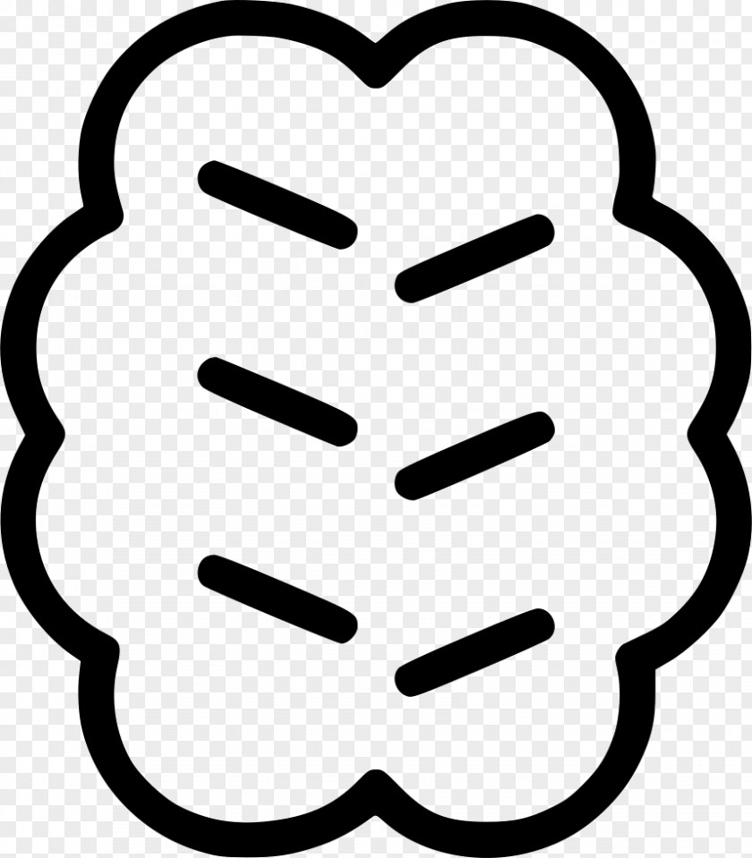 Brain Clip Art Vector Graphics PNG