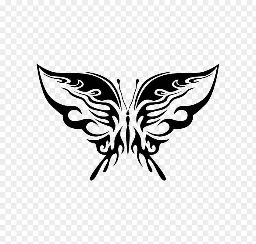 Butterfly Paper Royalty-free Symbol Insect PNG