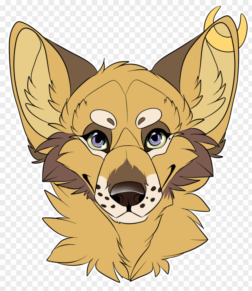Lion Red Fox Whiskers Cat PNG