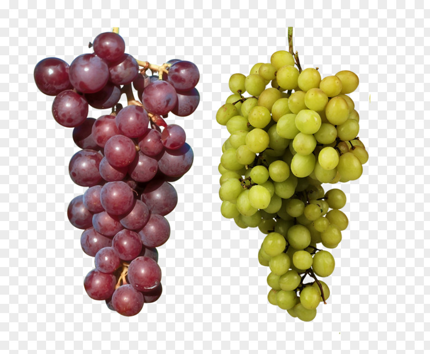 Purple Grapes And Green Fruit Download PNG