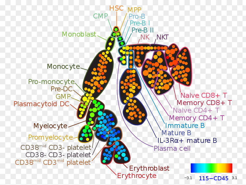 Robert Sean Leonard Flow Cytometry Bioinformatics Mass PNG