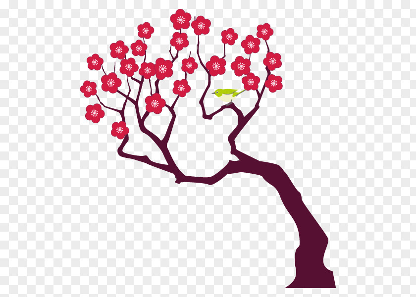 Branch Plum Blossom Illustration Tree Plants PNG