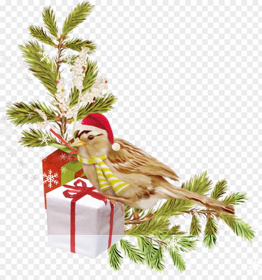 Christmas Ornaments Decoration PNG