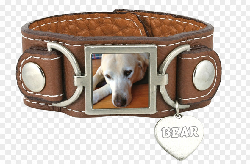 Dog Collar Belt Leash PNG