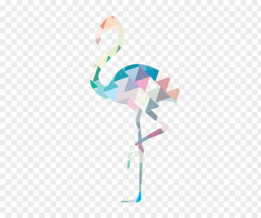 Flamingos Bird Greater Flamingo Geometry PNG