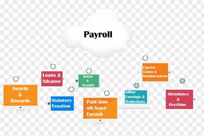 Payroll Human Resource Salary Employee Laborer PNG