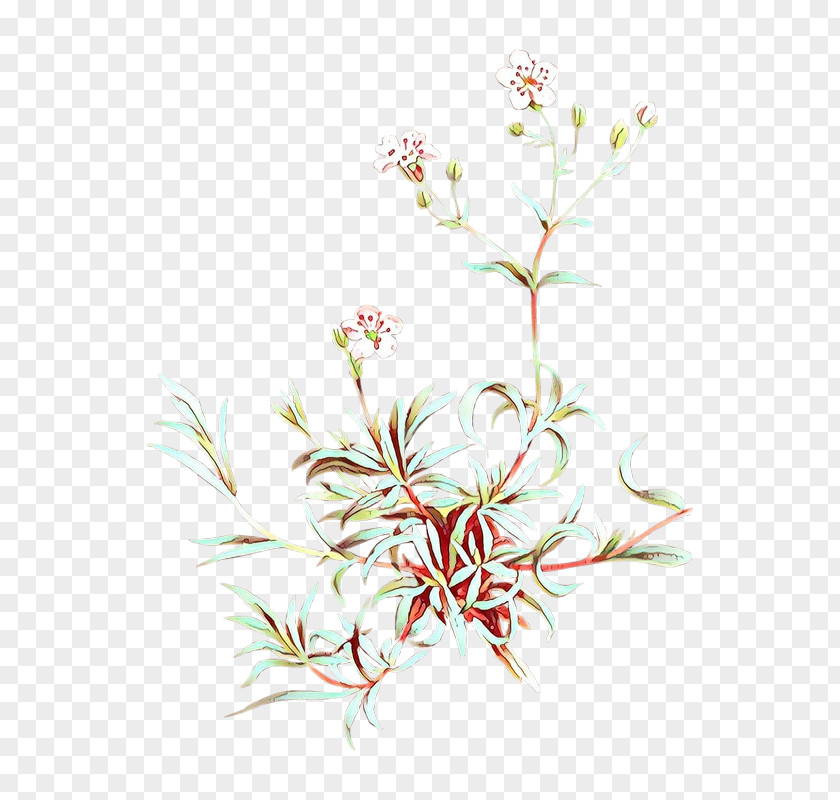 Wildflower Flowering Plant Flower Branch Pedicel Grass PNG