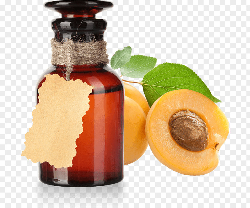 Apricot Kernel Vegetable Oil Noyau PNG