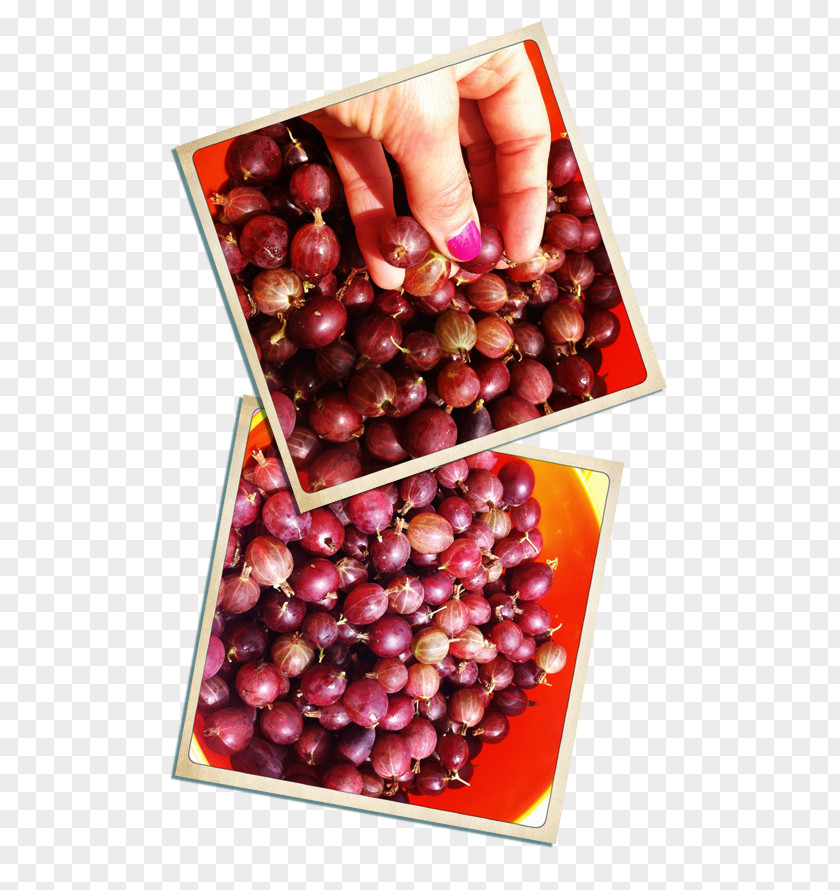 Cranberry Pink Peppercorn Natural Foods Superfood PNG
