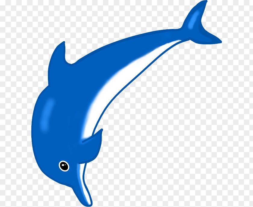 Dolphin Common Bottlenose Tucuxi Porpoise Iruka Umino PNG