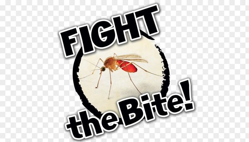 Natives Fight Win Mosquito-Borne Illnesses Image Poster Insect Bites And Stings PNG
