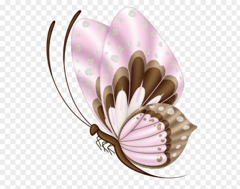 Pink Butterfly Paper Clip Art PNG