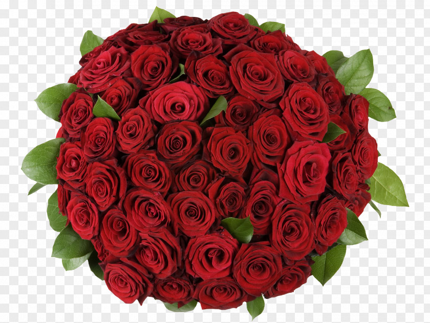 A Bouquet Of Roses Garden Flower Petal PNG