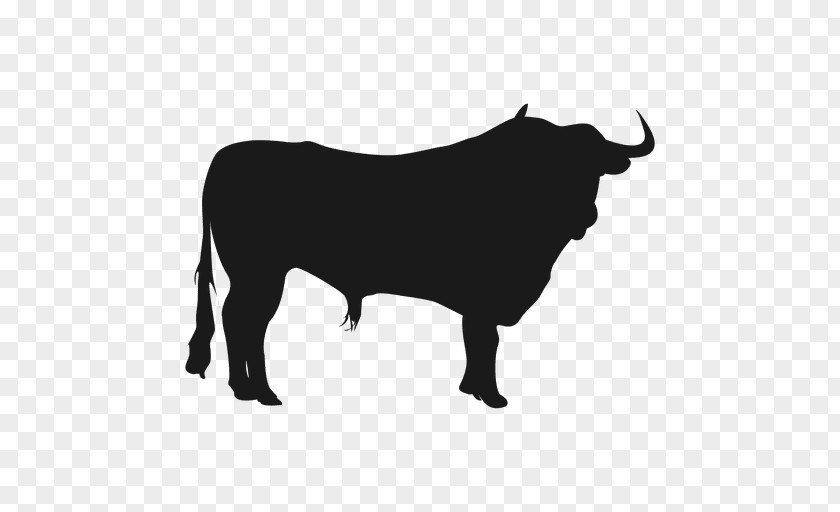 Bull Cattle Vector Graphics Silhouette Illustration PNG