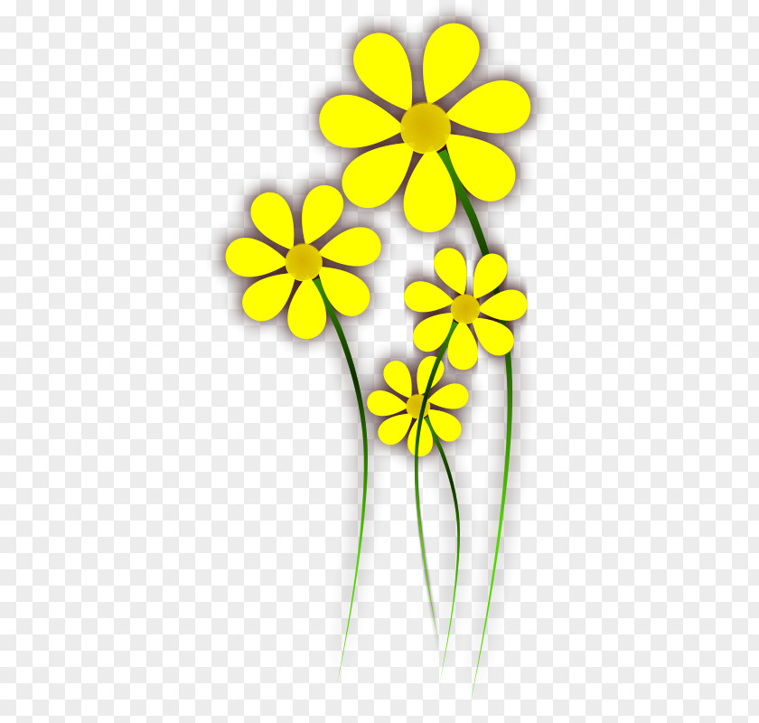 Daisy Yellow Flower Clip Art PNG