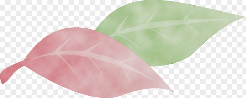 Leaf Pink M Plants Plant Structure Biology PNG