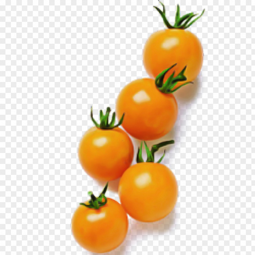 Orange Plum Tomato PNG