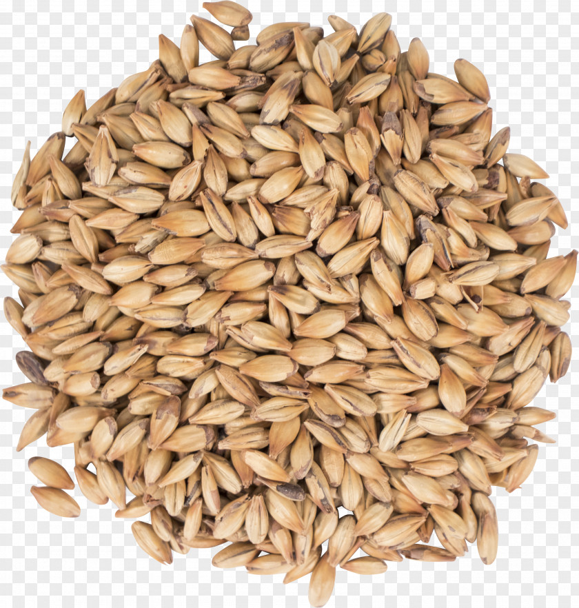 Beer Oat Cereal Malt Spelt PNG