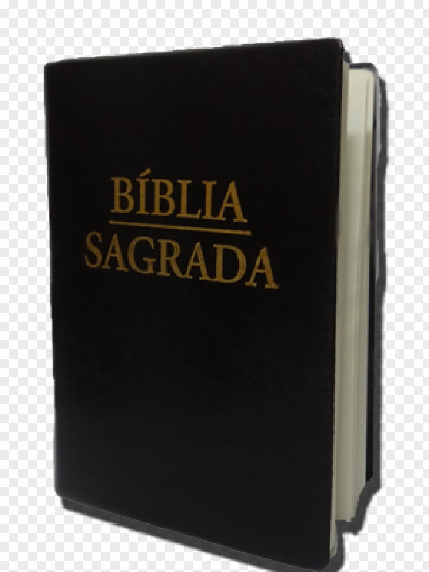 Biblia Icon Brand Font Product PNG
