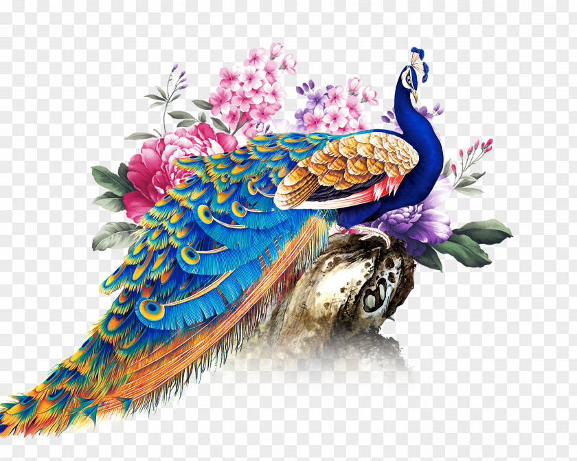 China Wind Peacock Paper Peafowl PNG