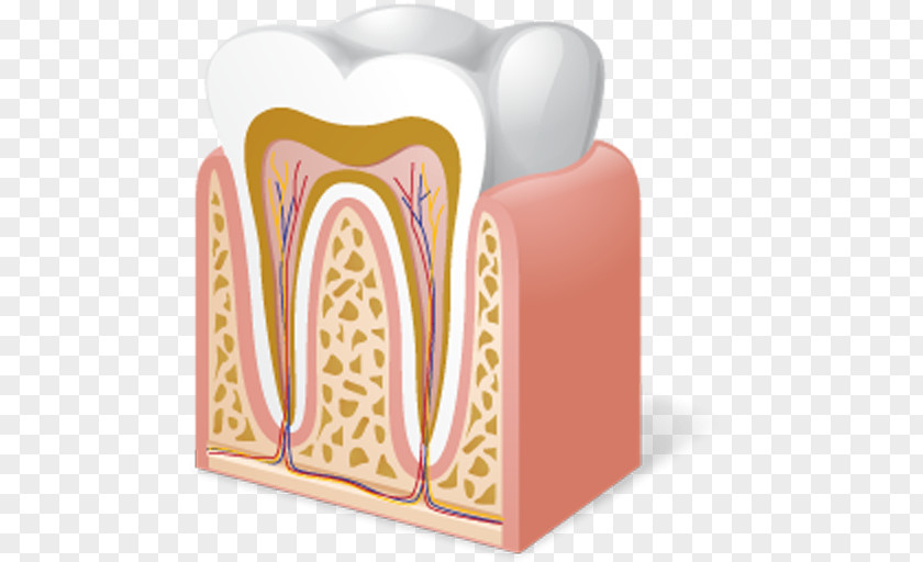 Medicine Icon Design Dentistry PNG