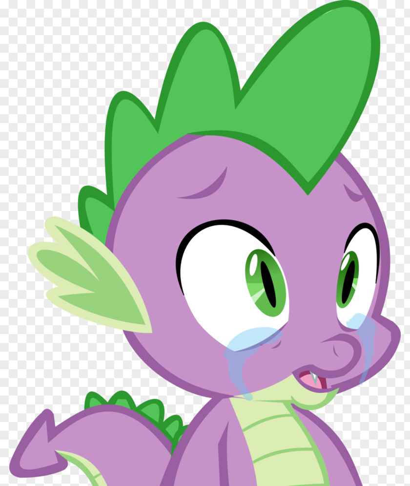Spike My Little Pony: Twilight Sparkle, Teacher For A Day Rarity Rainbow Dash PNG