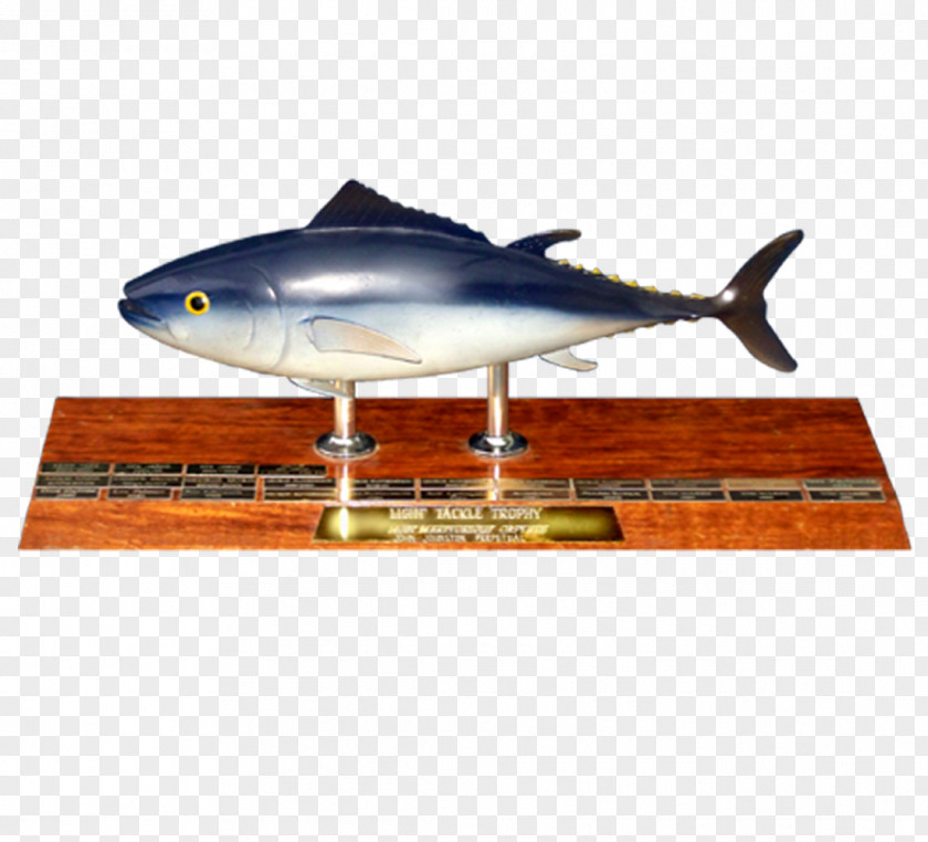 Trophy Primary Industries And Regions South Australia Fishing Game Fish PNG