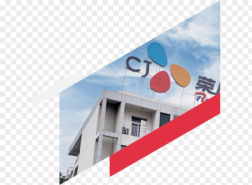 Warehouse South Korea CJ Express Logistics Group PNG