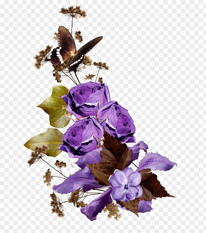 Flower Lavender Border Flowers Butterfly Clip Art PNG